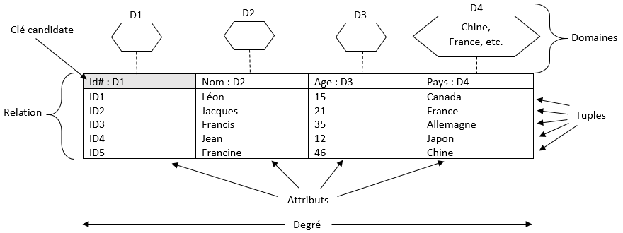 Figure montrant la structure du modèle relationnelle